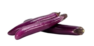 berenjena japonesa - Inicio