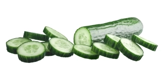 pepnino holandes - Inicio