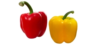 pimiento california - Inicio