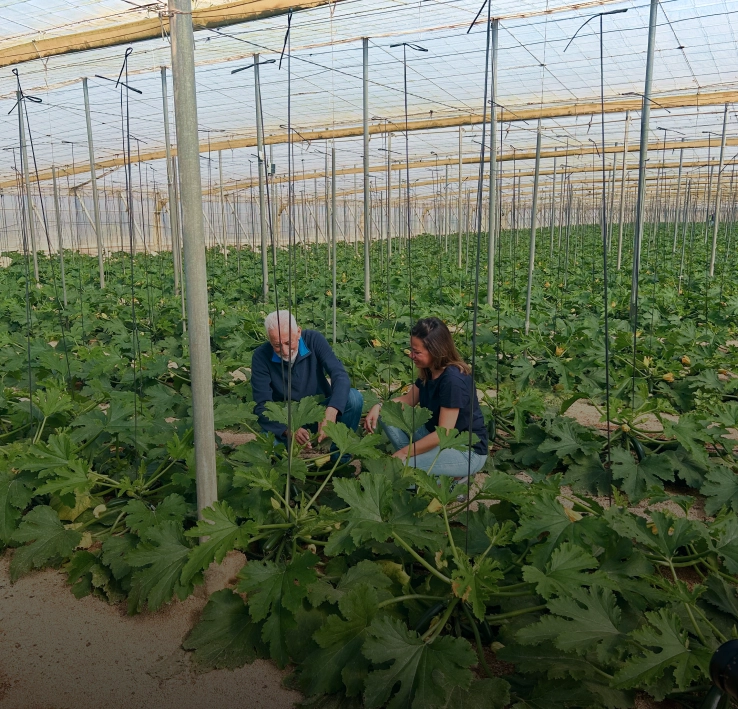 recoleccion-punto-optimo