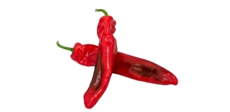 sweet palermo - Inicio