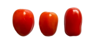 tomate cherry - Inicio