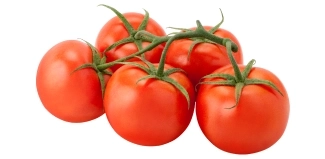 tomate rama - Inicio