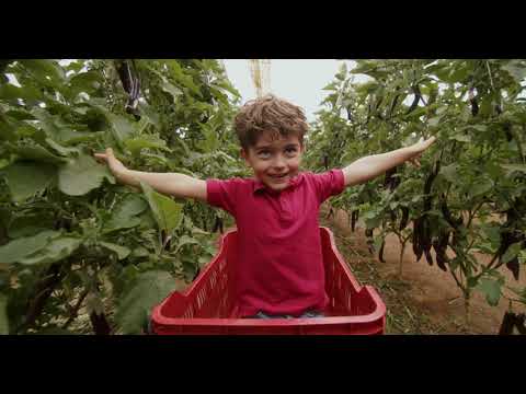 Acepta el reto cultiva eco. Ecoinver bio da valor a lo importante - Inicio