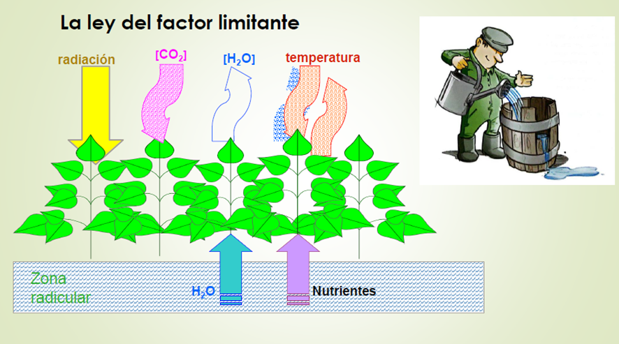 image 2 - Claves prácticas para mejorar la competitividad del invernadero almeriense