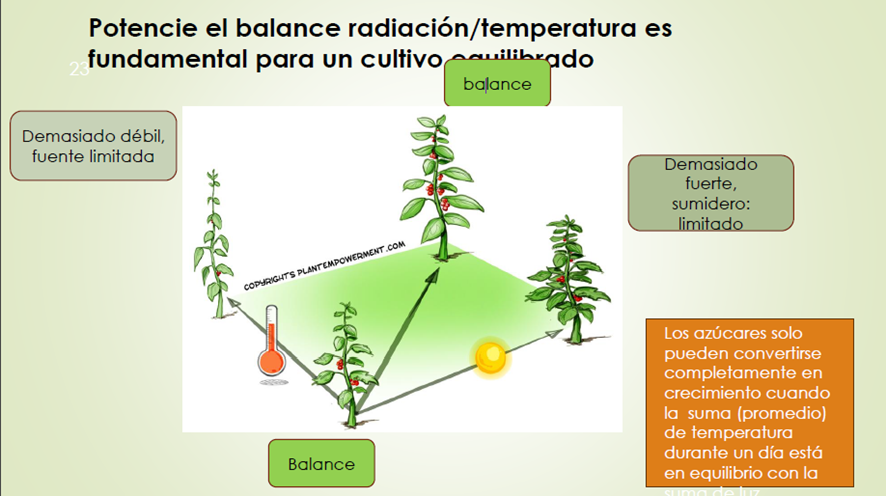 image 5 - Claves prácticas para mejorar la competitividad del invernadero almeriense