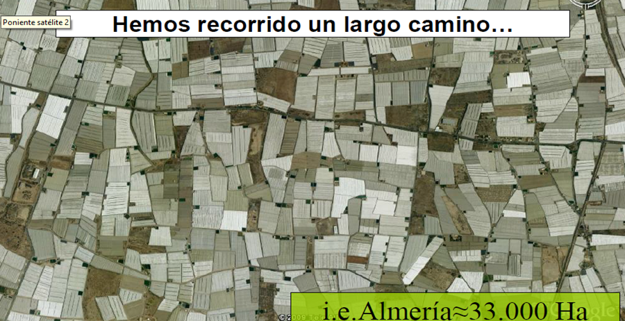 image - Claves prácticas para mejorar la competitividad del invernadero almeriense